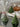 Christmas tree candle gifts