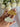 Party shower cloud gifts
